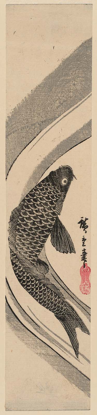 Hiroshiges - Carp in Water - Miscellaneous Fish Prints: Ko-tanzaku Format