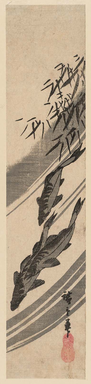 Hiroshiges - Fish and Bamboo Grass - Miscellaneous Fish Prints: Ko-tanzaku Format