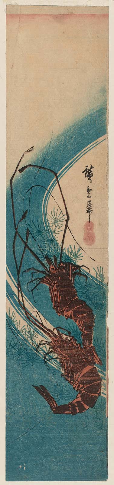 Hiroshiges - Two Shrimp in Seaweed - Miscellaneous Fish Prints: Ko-tanzaku Format