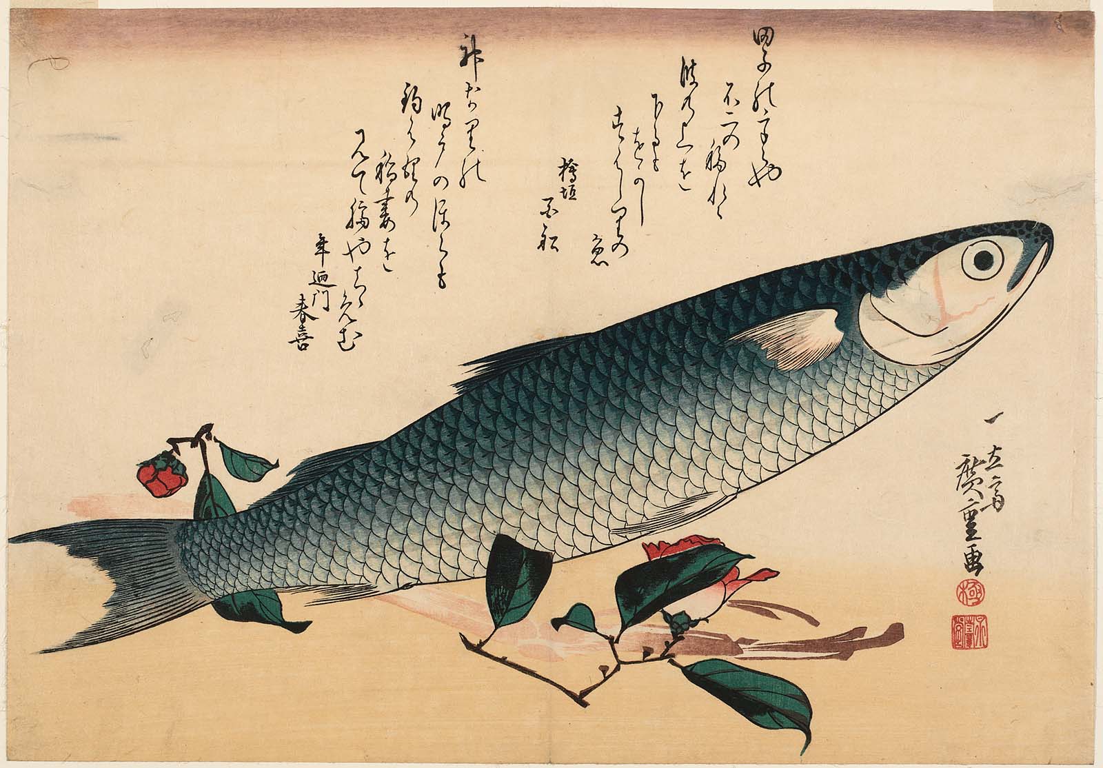 Hiroshiges - Mullet, Asparagus, and Camellia - Grand Series of Fishes (1832-33 & 1840-42)