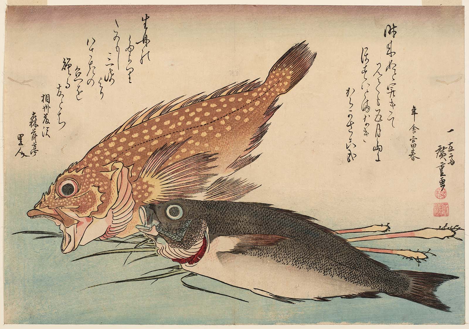 Hiroshiges - Scorpionfish, Isaki, and Ginger - Grand Series of Fishes (1832-33 & 1840-42)