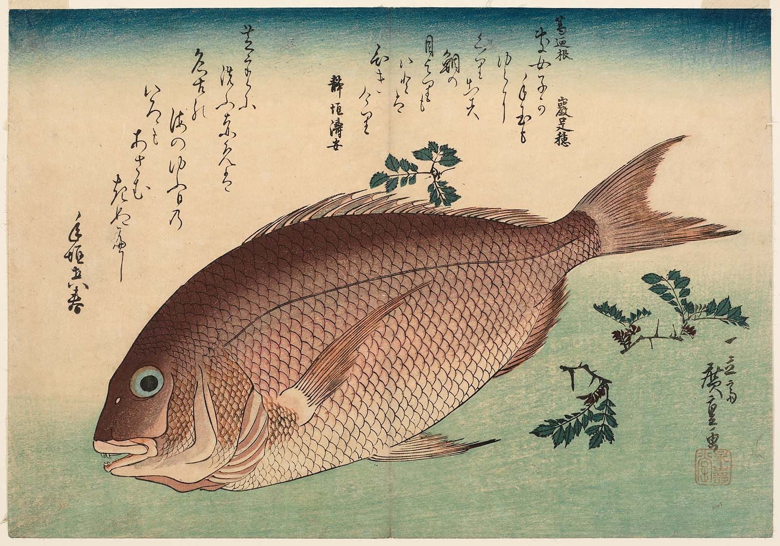 Hiroshiges - Sea Bream and Sansho Pepper - Grand Series of Fishes (1832-33 & 1840-42)