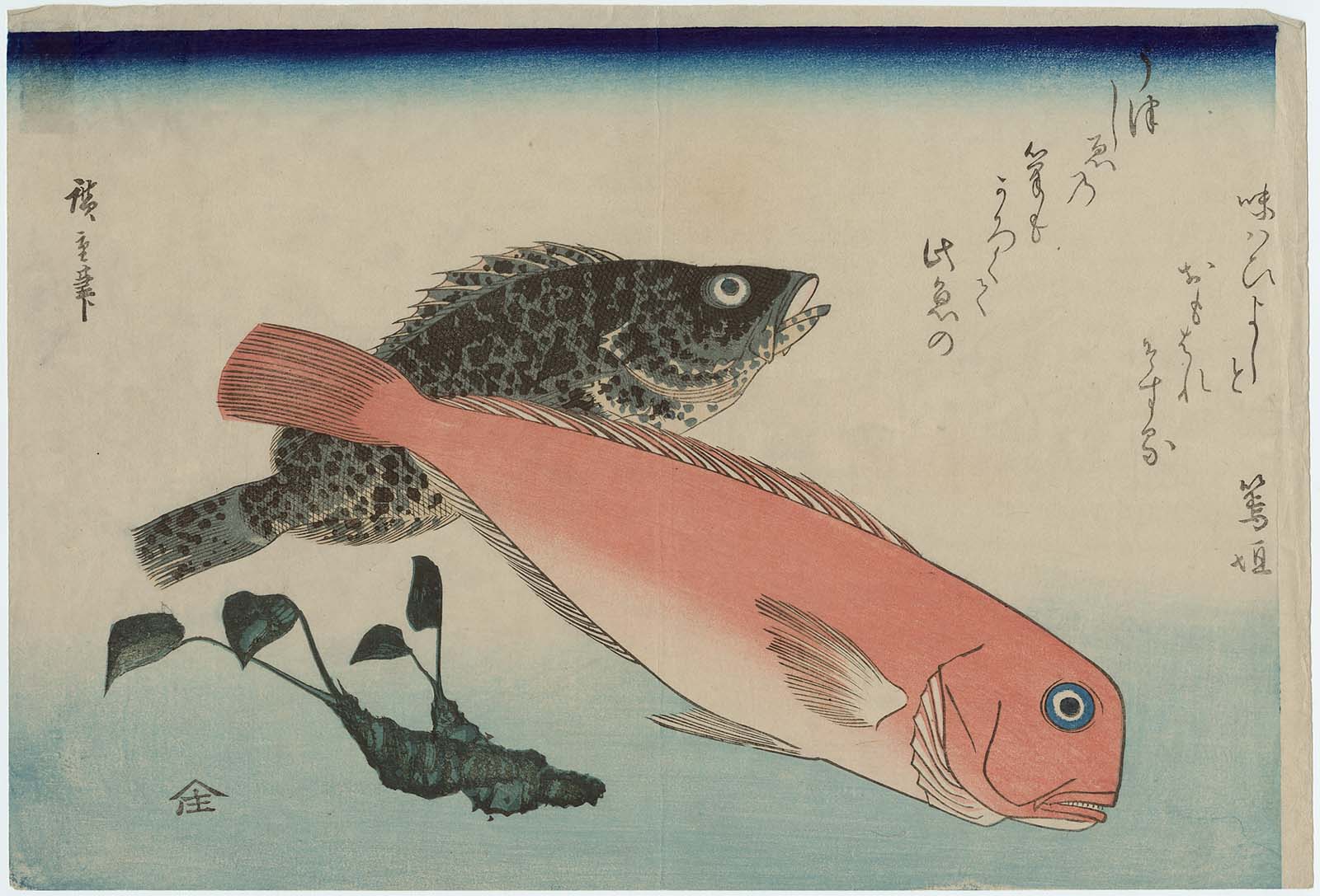 Hiroshiges - Sweet Sea Bream, Mebaru, and Horseradish - Grand Series of Fishes (1832-33 & 1840-42)