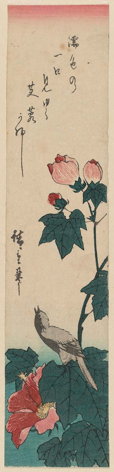 Hiroshiges - Bird and Hibiscus - Ko-tanzaku Format