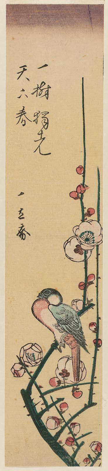 Hiroshiges - Bird on Plum Branch - Ko-tanzaku Format