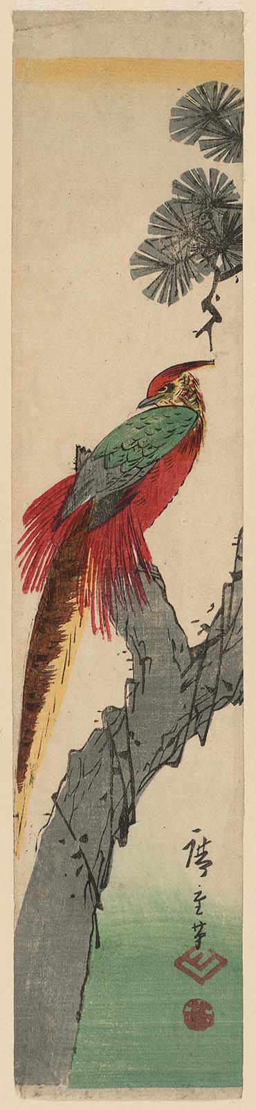 Hiroshiges - Golden Pheasant in a Pine Tree - Ko-tanzaku Format