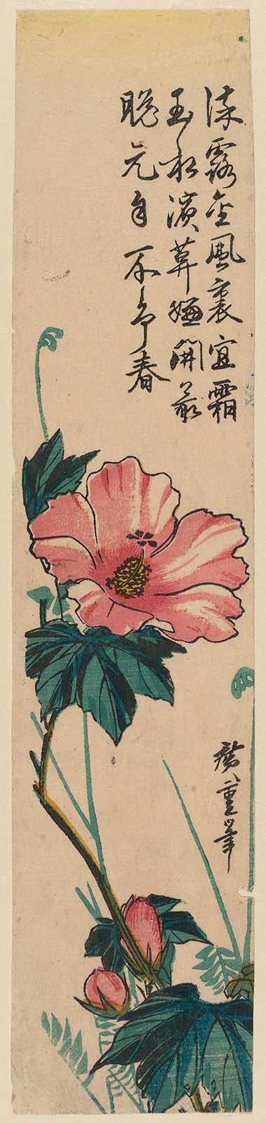 Hiroshiges - Hibiscus - Ko-tanzaku Format