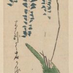 Hiroshiges - Japanese White-eye and Wisteria - Ko-tanzaku Format