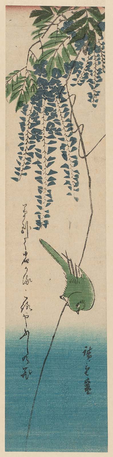 Hiroshiges - Japanese White-eye and Wisteria - Ko-tanzaku Format