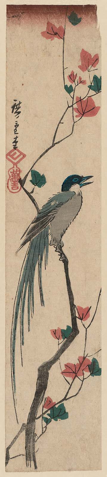 Hiroshiges - Long-tailed Bird and Maple Leaves - Ko-tanzaku Format