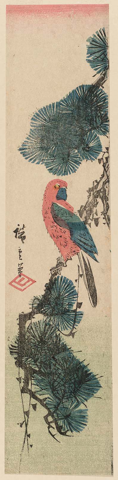 Hiroshiges - Macaw on Pine Branch - Ko-tanzaku Format