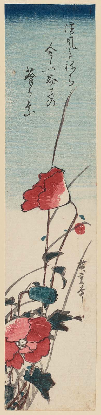 Hiroshiges - Poppies - Ko-tanzaku Format