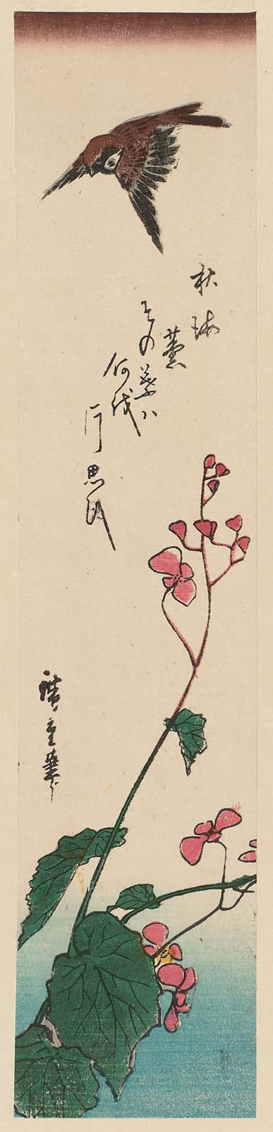 Hiroshiges - Sparrow and Begonia - Ko-tanzaku Format