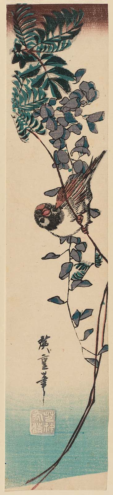 Hiroshiges - Sparrow and Wisteria - Ko-tanzaku Format