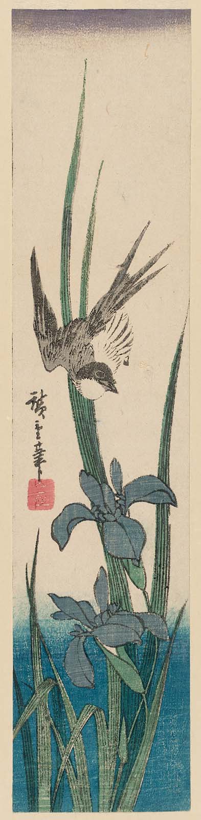 Hiroshiges - Swallow and Iris - Ko-tanzaku Format