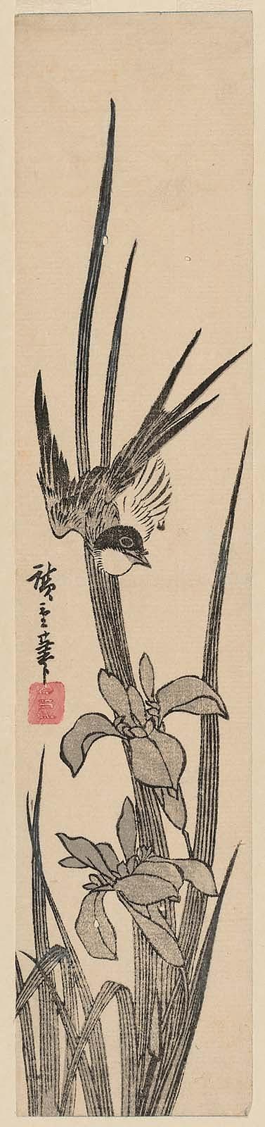 Hiroshiges - Swallow and Iris - Ko-tanzaku Format