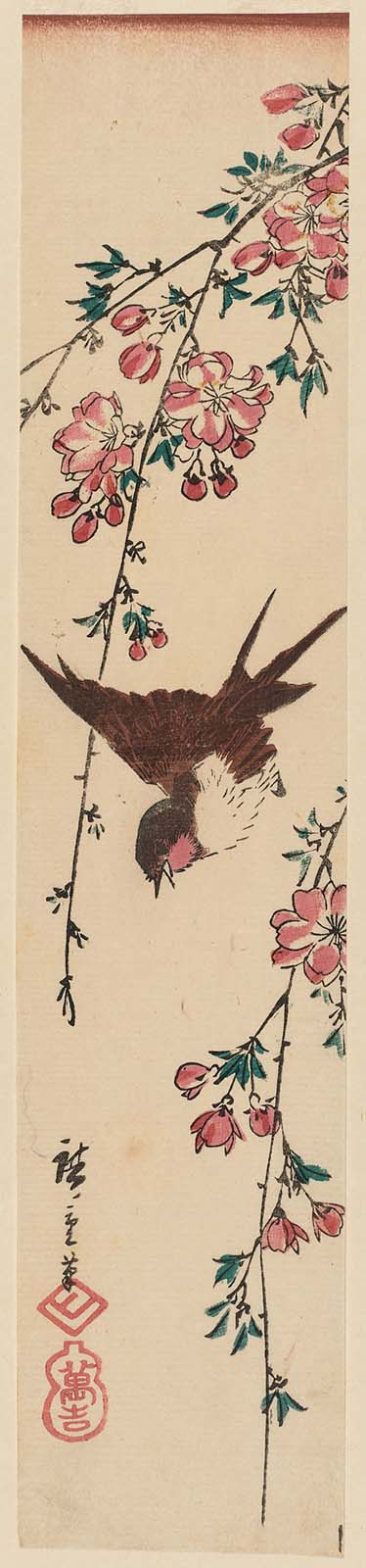 Hiroshiges - Swallow and Weeping Cherry - Ko-tanzaku Format