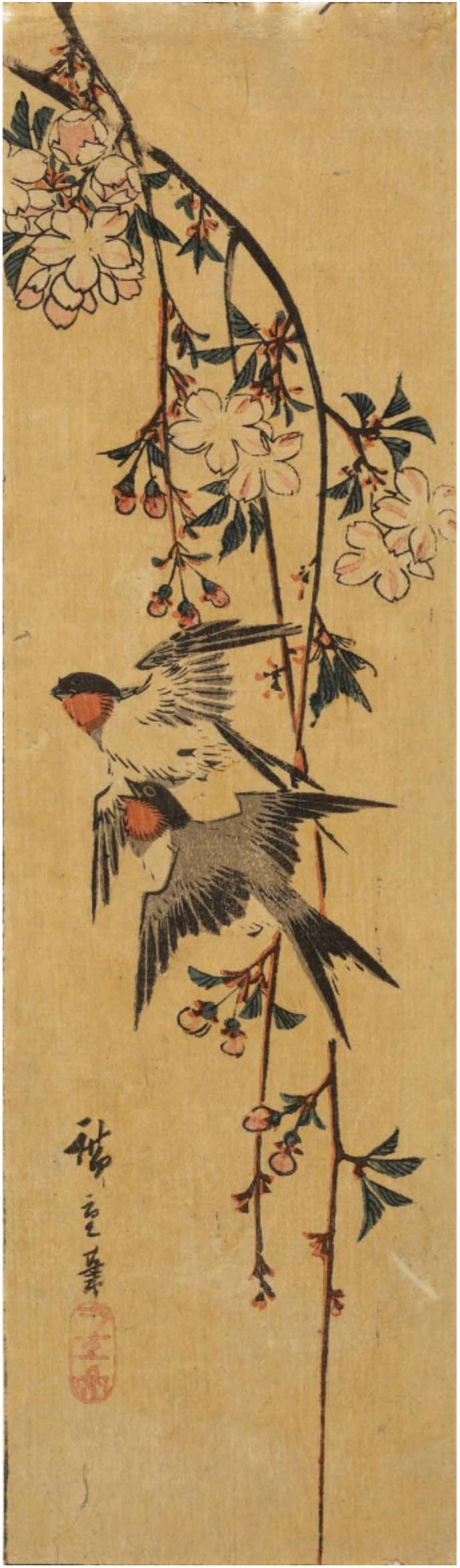 Hiroshiges - Swallows and Cherry Blossoms - Ko-tanzaku Format