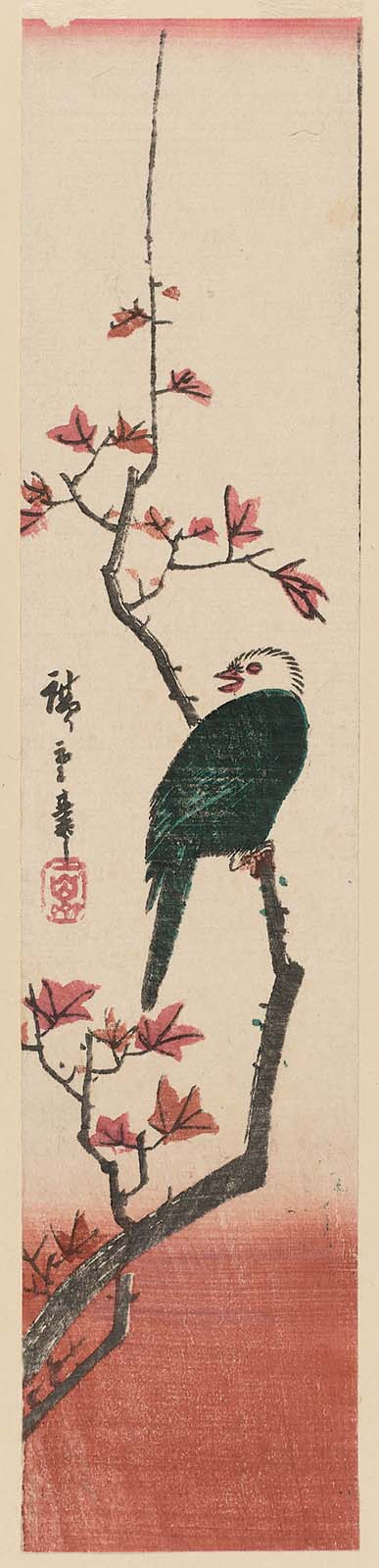 Hiroshiges - White Headed Bird on Maple Branch - Ko-tanzaku Format