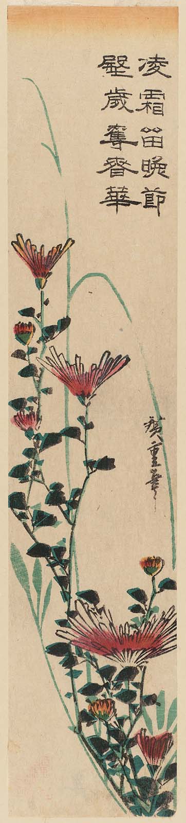 Hiroshiges - Wild Chrysanthemums - Ko-tanzaku Format