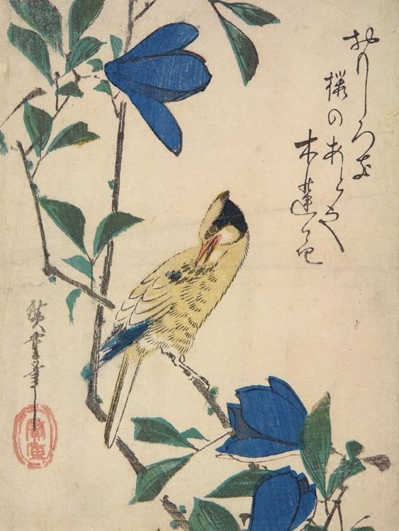 Hiroshiges - Black-naped Oriole and Magnolia - Koban Format