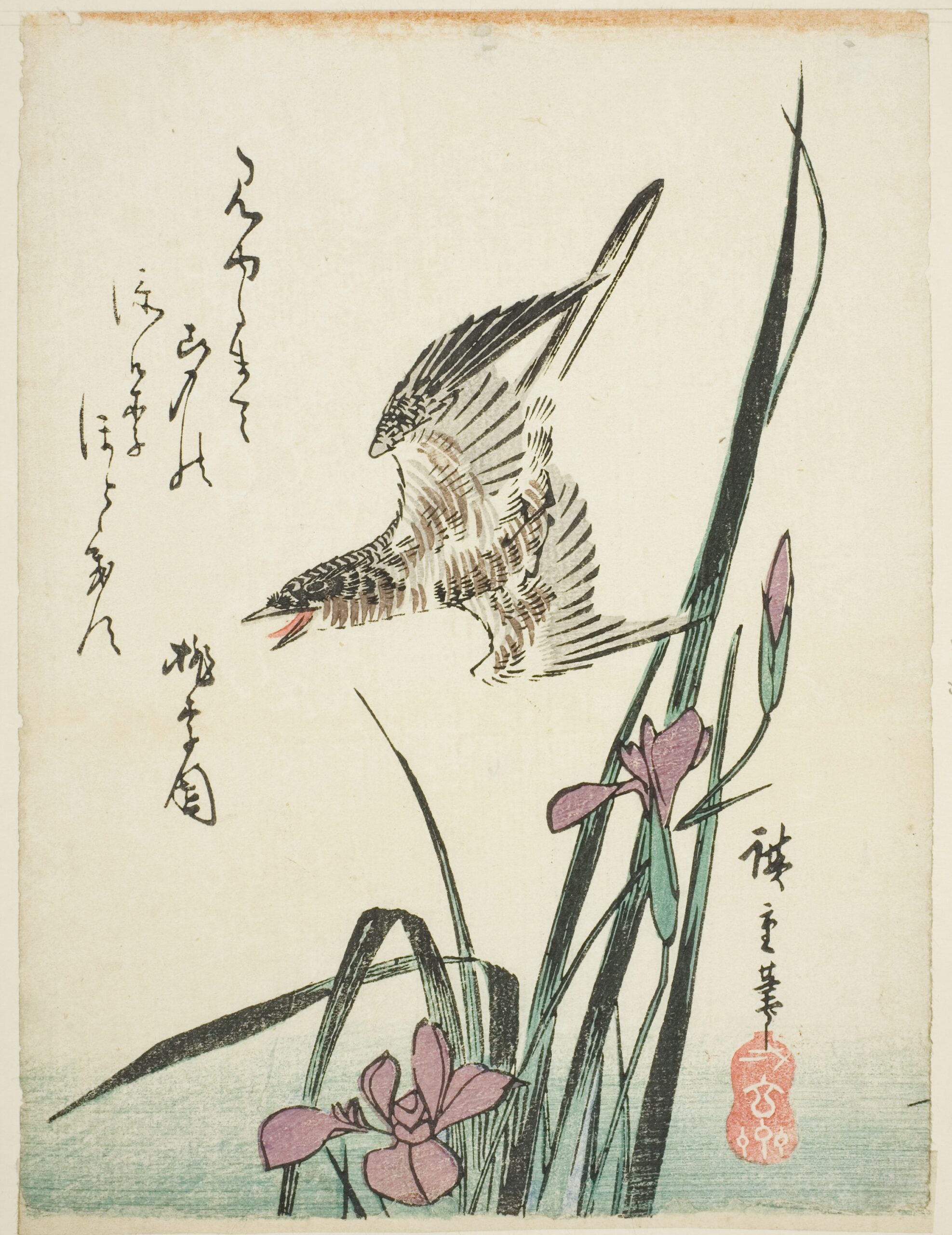 Hiroshiges - Cuckoo Flying over Iris - Koban Format