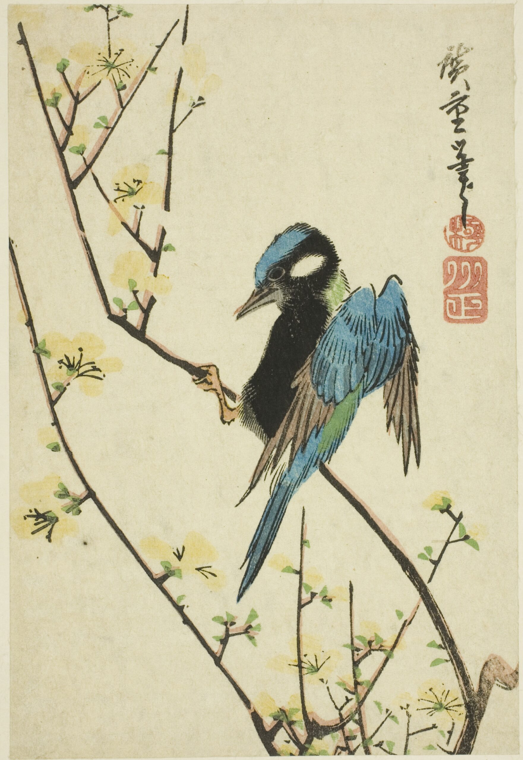 Hiroshiges - Java Sparrow on Cherry Branch - Koban Format