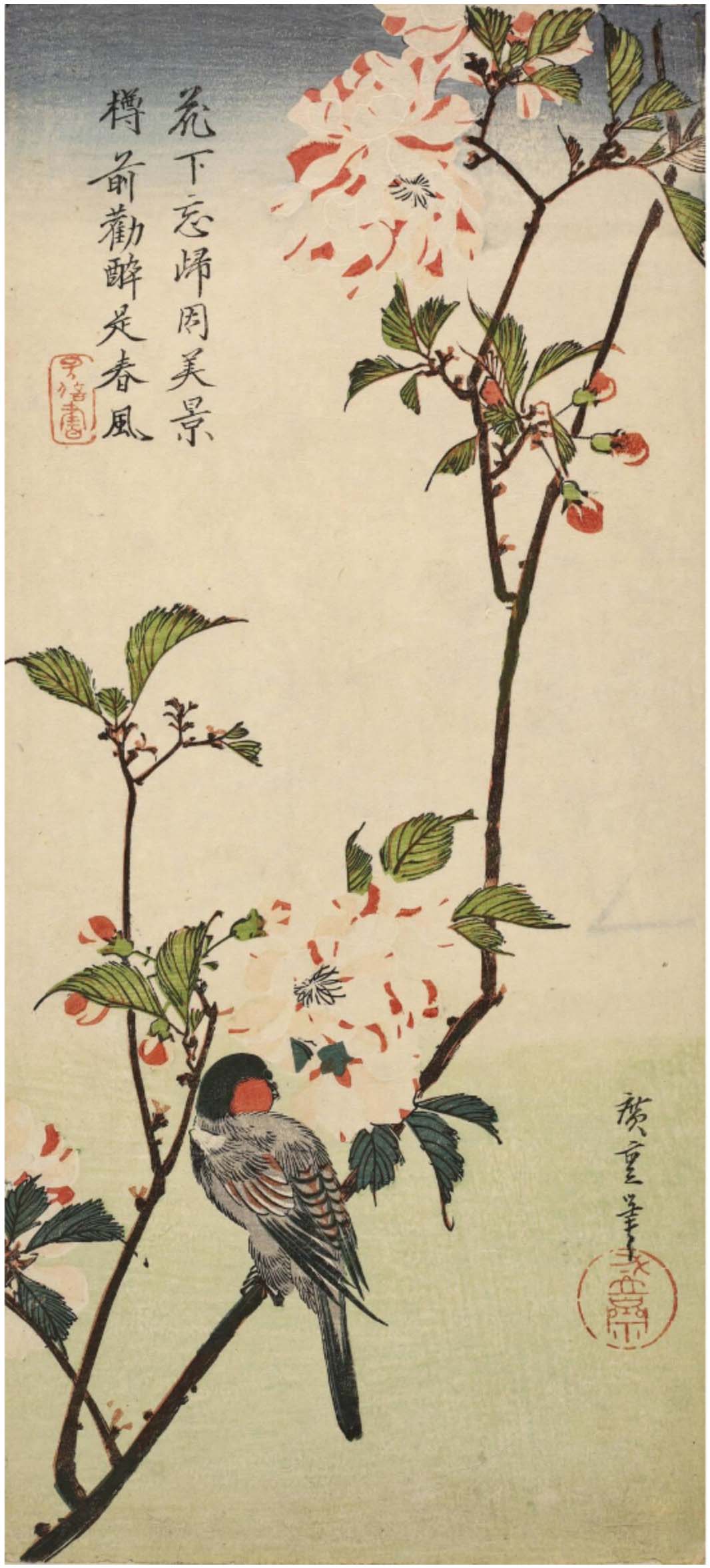 Hiroshiges - Bunting on a Cherry Blossom Branch - Ō-tanzaku Format