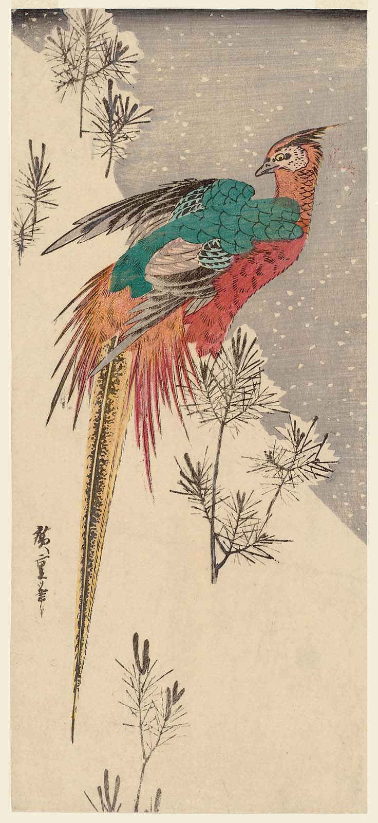 Hiroshiges - Golden Pheasant and Pine Shoots in Snow (Setchu Komatsuyama ni Fiji) - Ō-tanzaku Format