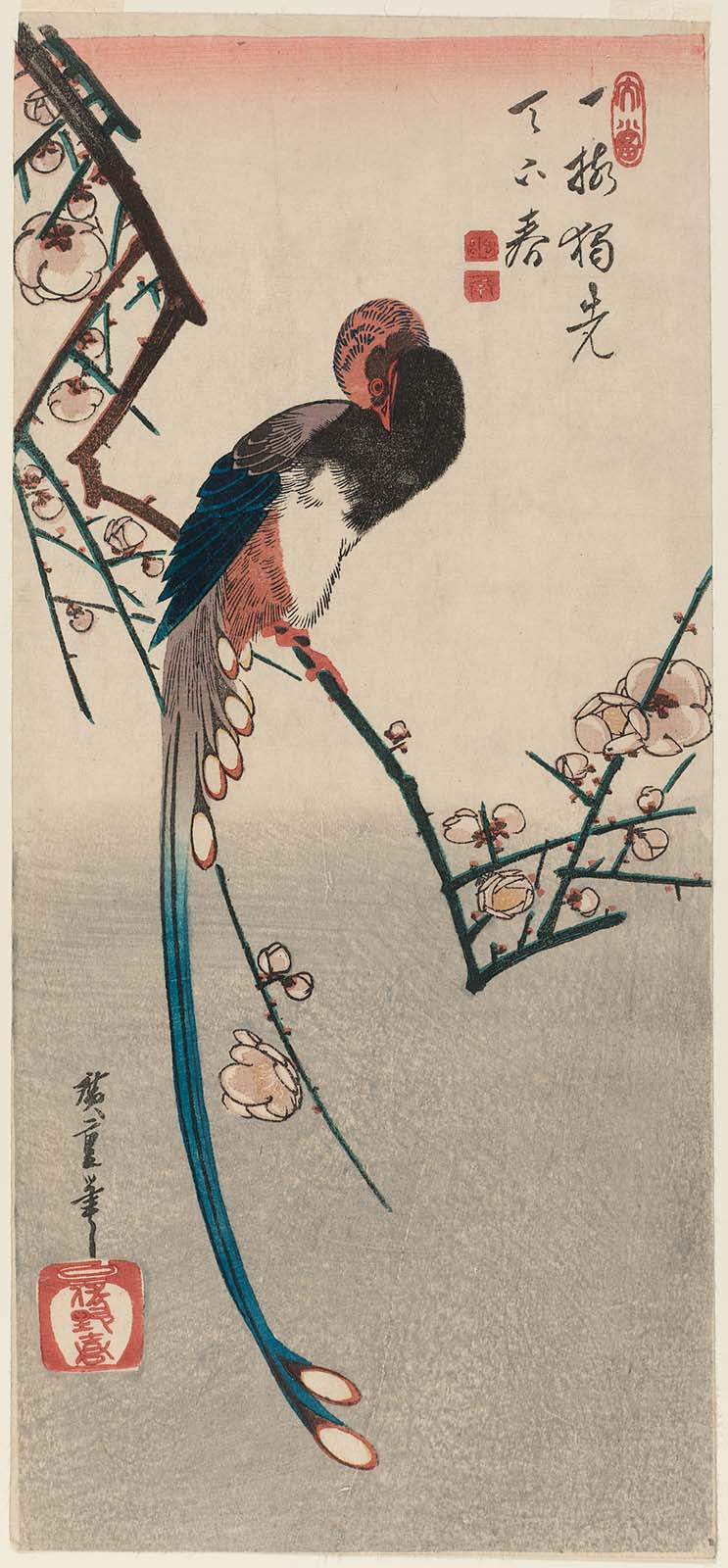 Hiroshiges - Long-tailed Bird on Flowering Plum Branch (Ume ni onagadori) - Ō-tanzaku Format