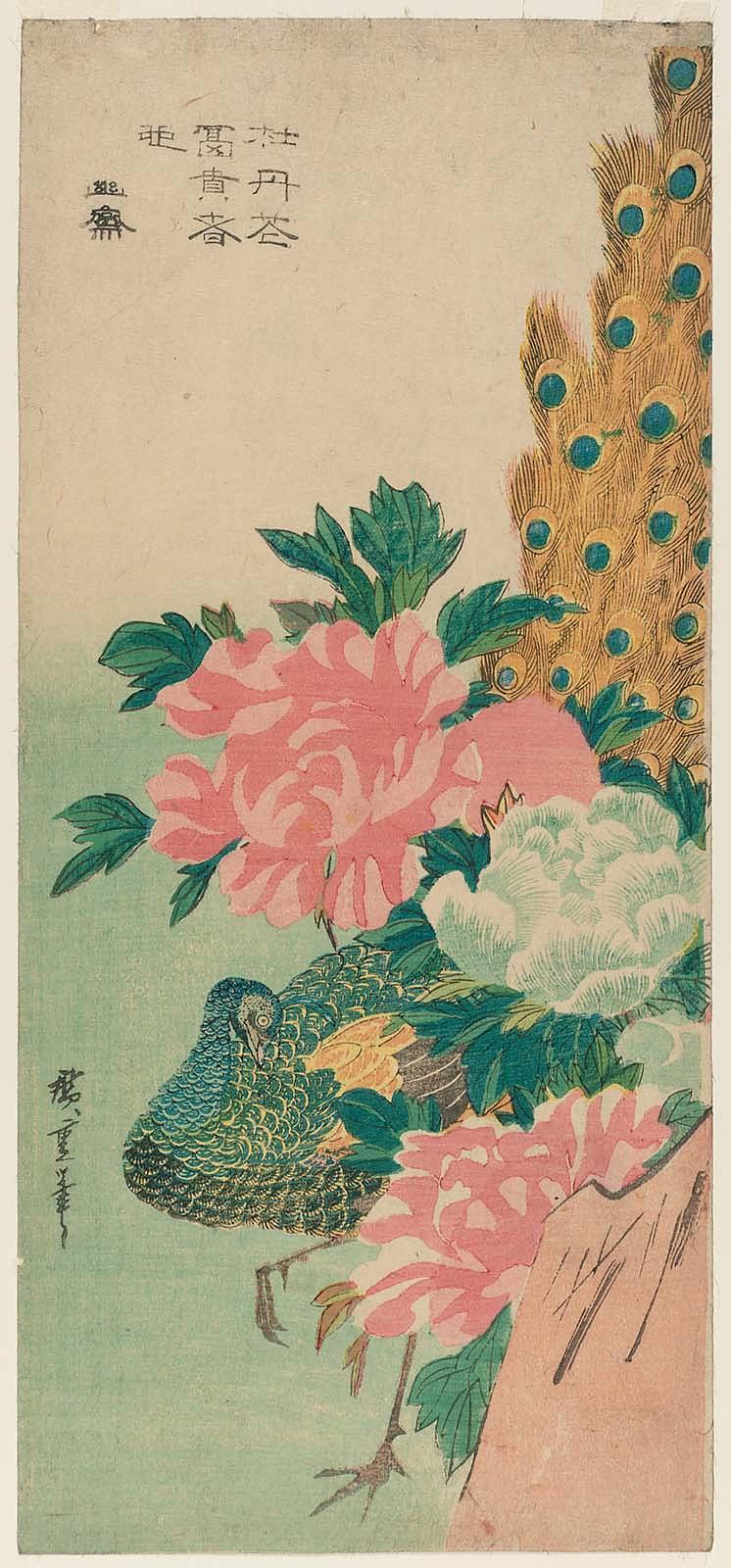 Hiroshiges - Peacock and Peonies (Kujaku ni botan) - Ō-tanzaku Format