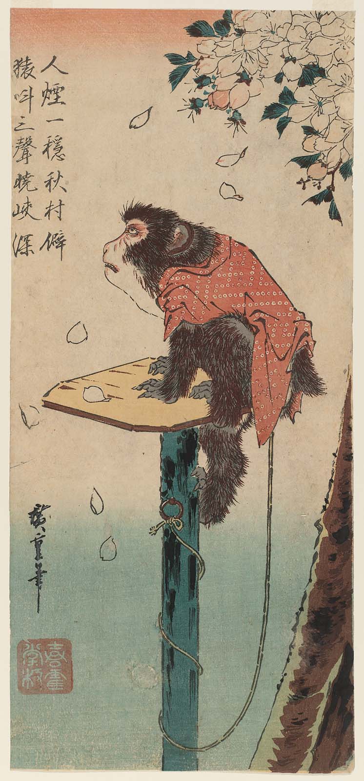 Hiroshiges - Pet Monkey and Cherry Blossoms (Oka ni Tsunagi Zaru) - Ō-tanzaku Format