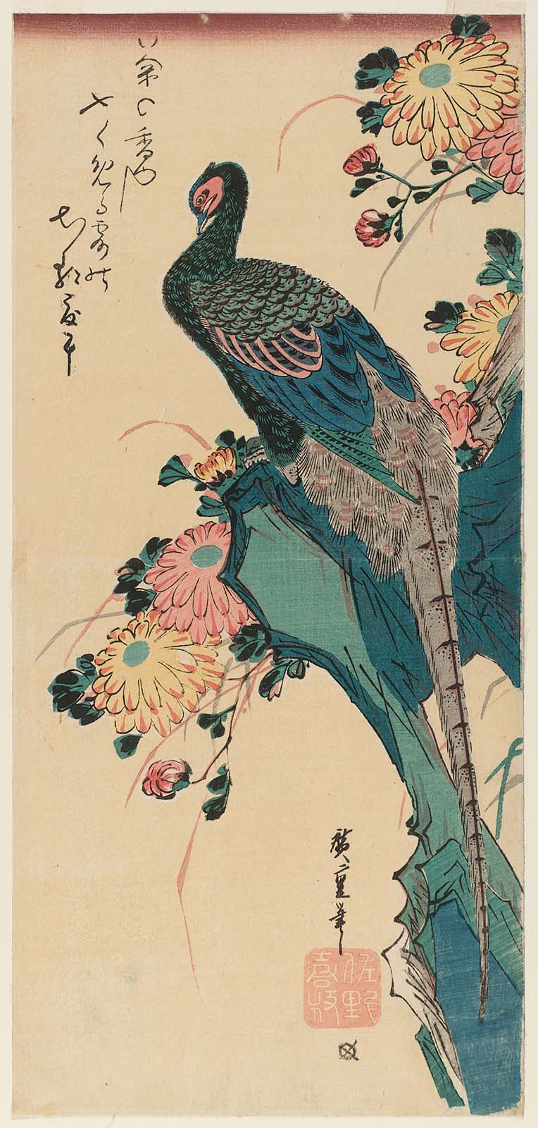 Hiroshiges - Pheasant and Chrysanthemums (Kiku no Gake ni Kiji) - Ō-tanzaku Format