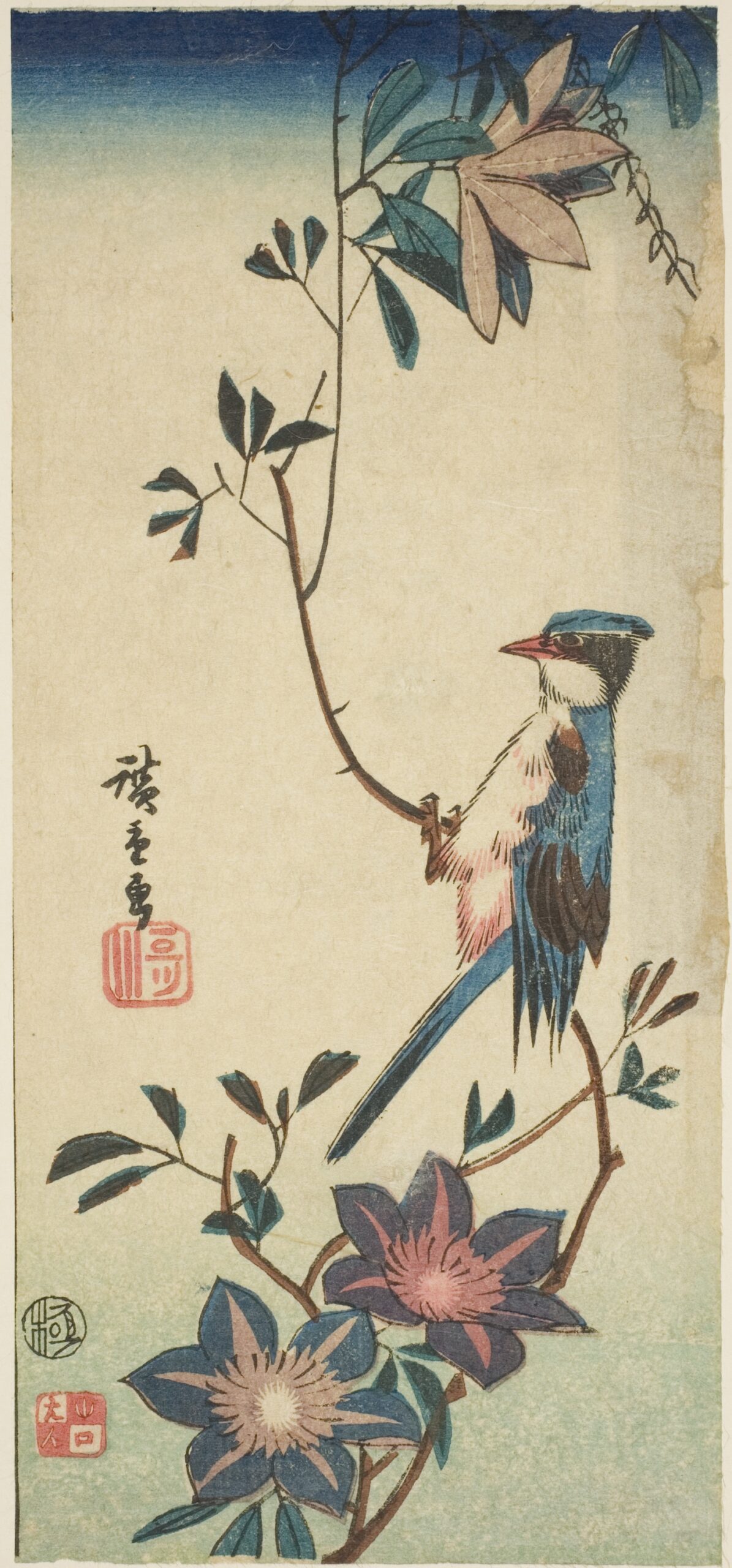 Hiroshiges - Blue Bird on Clematis - Sanchōgake Format