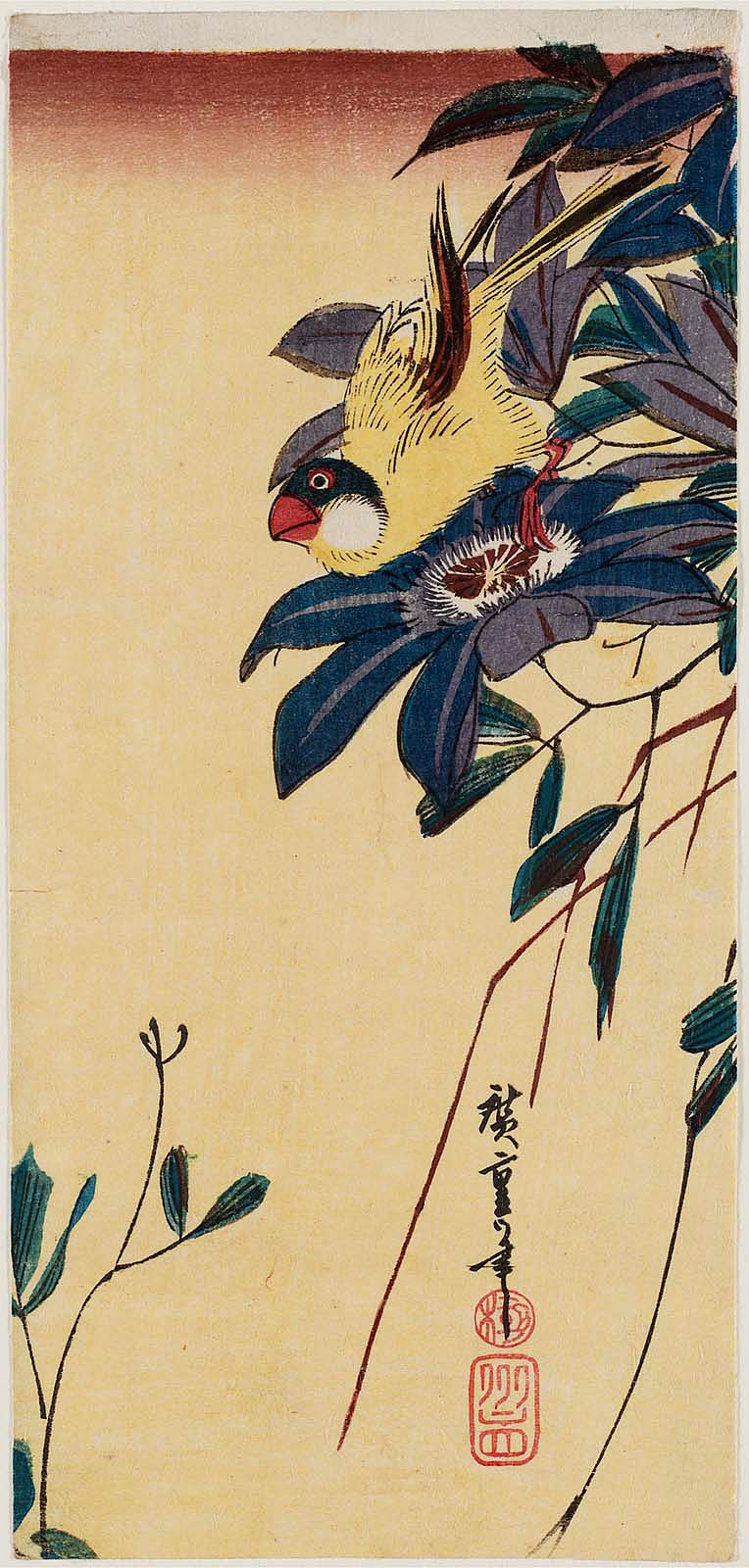 Hiroshiges - Finch and Clematis - Sanchōgake Format