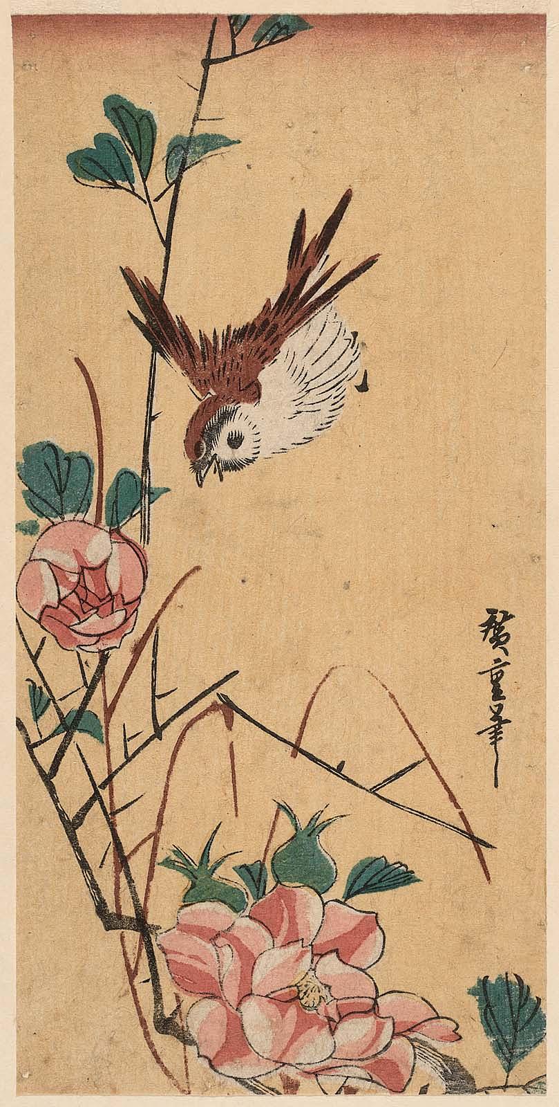 Hiroshiges - Sparrow and Camellia - Sanchōgake Format