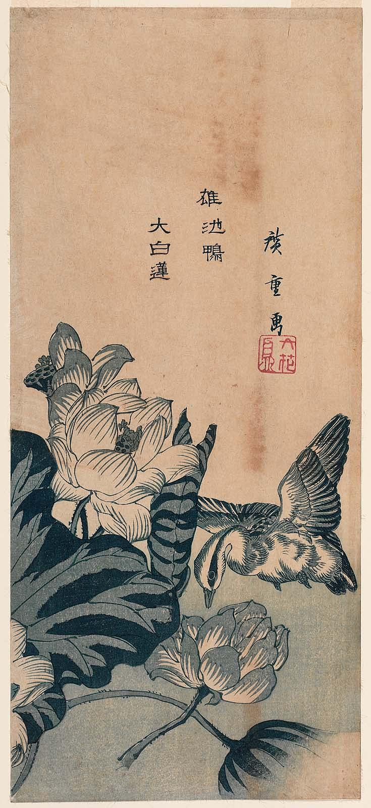 Hiroshiges - Drake and White Lotus (Osu-ikegamo, daibyakuren) - Ō-tanzaku Format