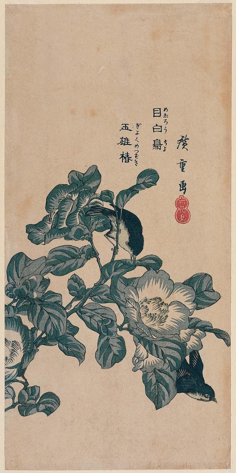 Hiroshiges - Japanese White-eye and Jade-woman Camellia (Mejirōcho, gyokume tsubaki) - Ō-tanzaku Format