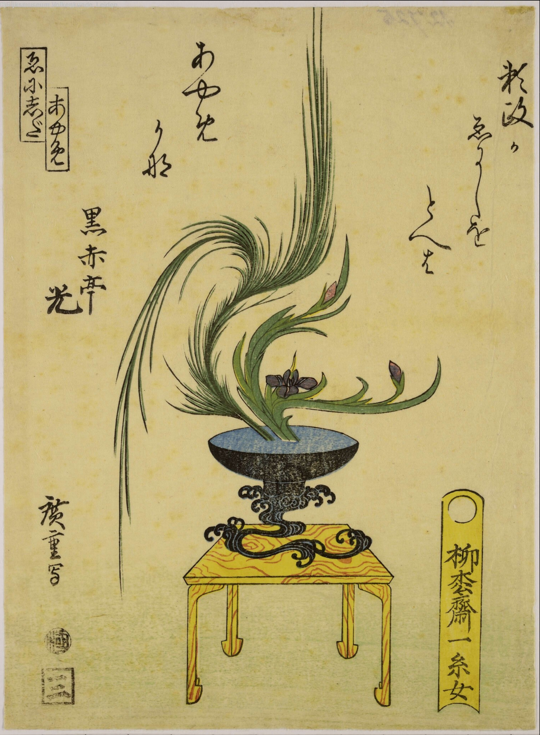 Hiroshiges - Arrangement of Iris and Broom - An untitled series of Ikebana flower arrangements