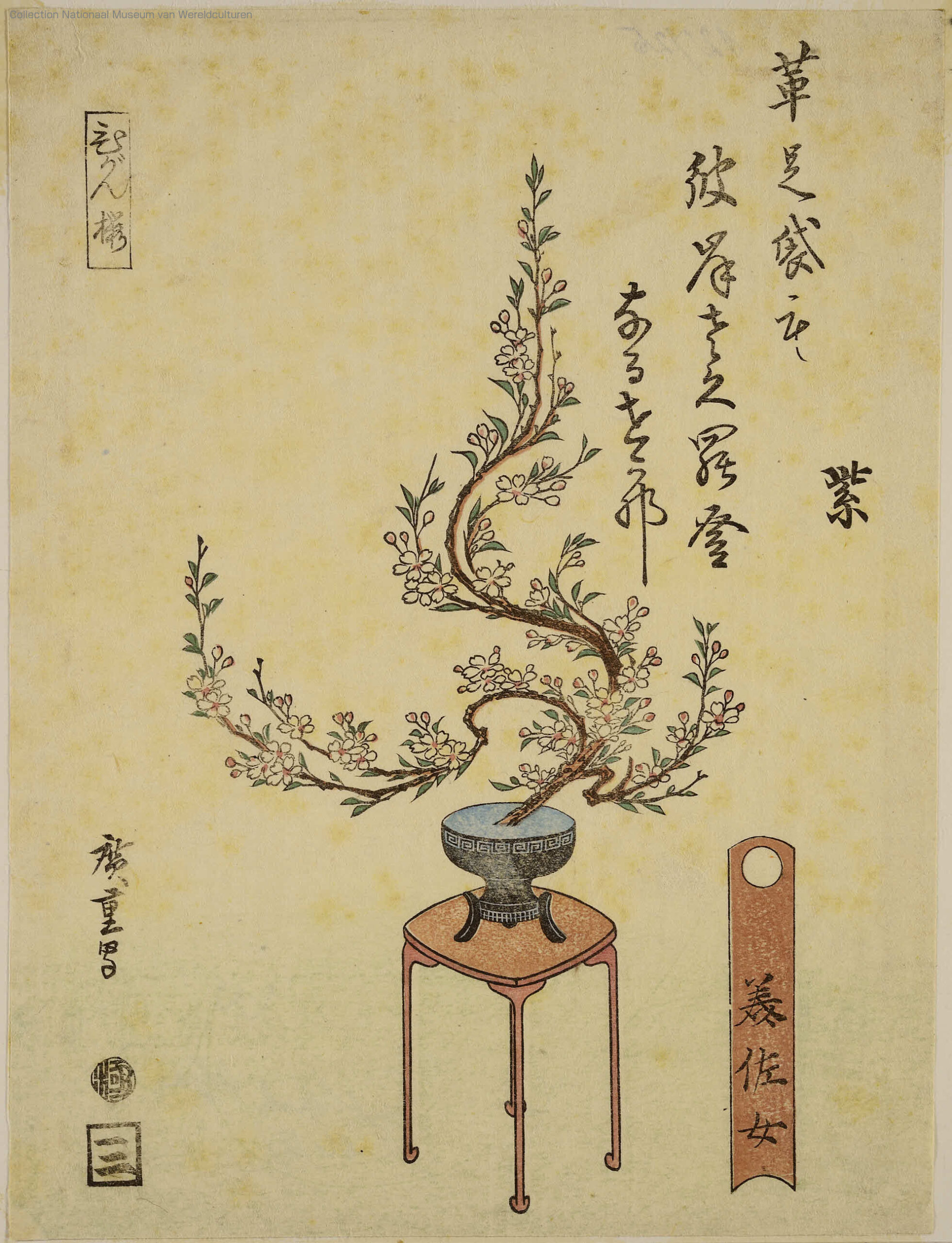 Hiroshiges - Arrangement of Spring Cherry - An untitled series of Ikebana flower arrangements