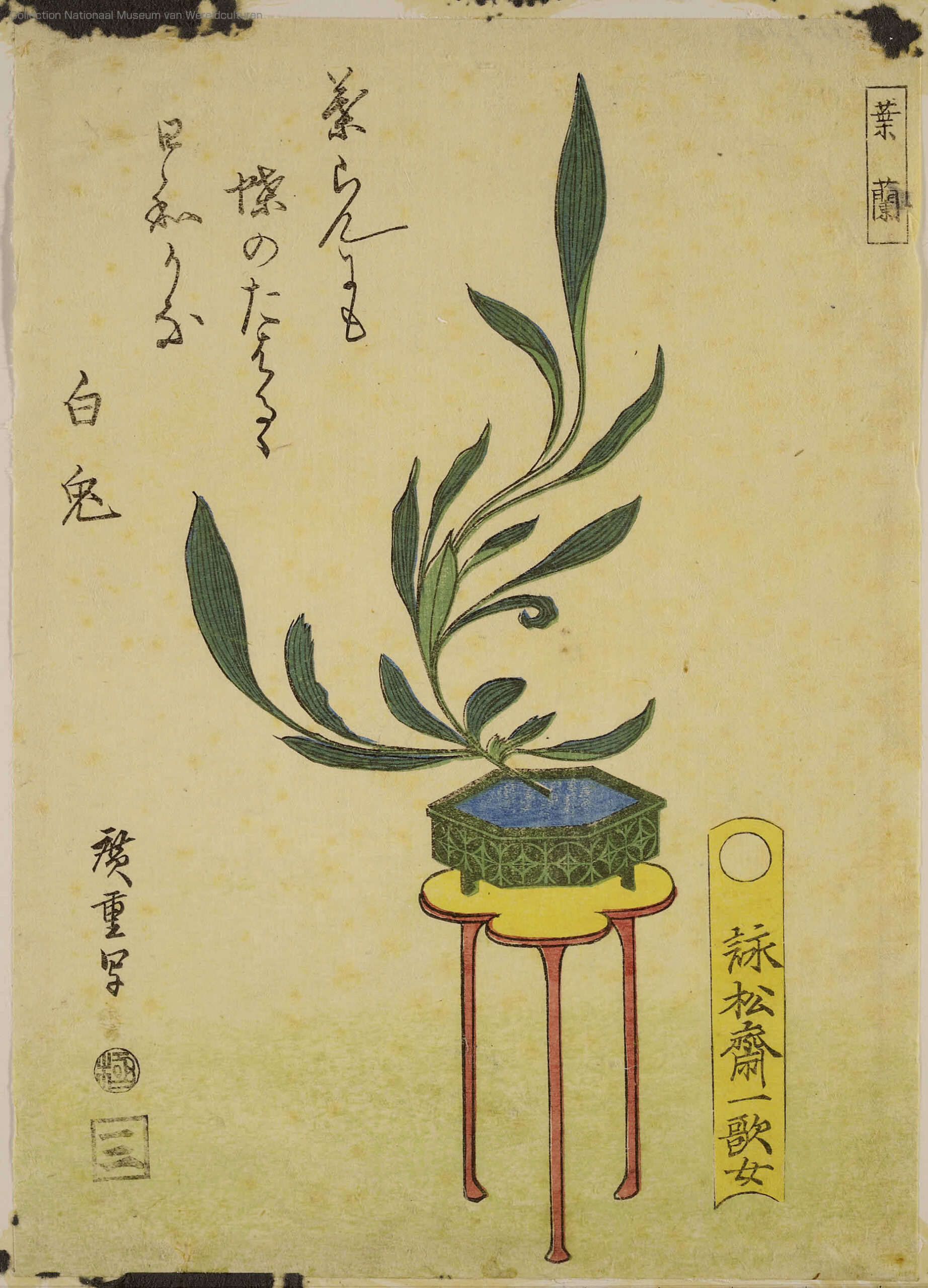 Hiroshiges - Arrangement of Leaf Orchid - An untitled series of Ikebana flower arrangements