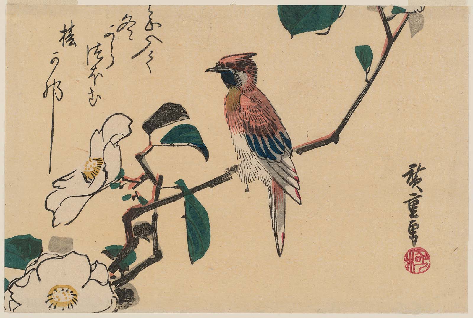 Hiroshiges - White Camellia and Black-naped Oriole - Yotsugiri Format