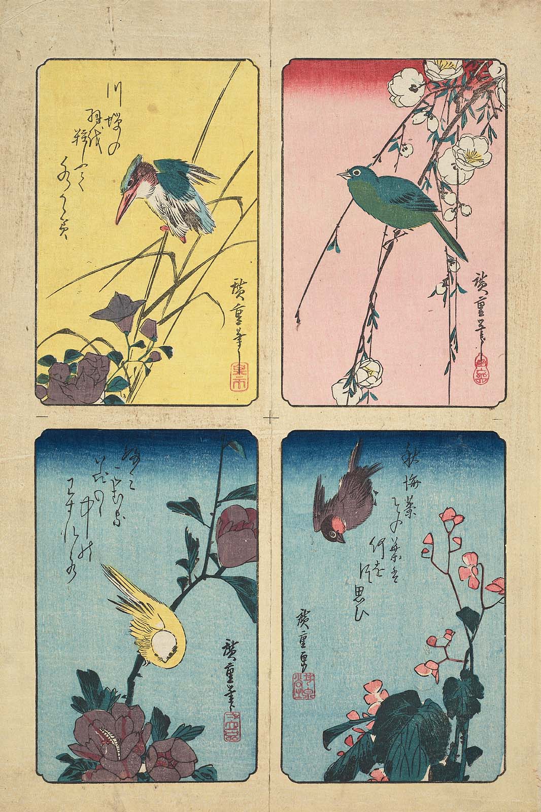 Hiroshiges - Japanese White-eye and Weeping Cherry (upper right), Sparrow and Begonia (lower right), Yellow Bird and Hibiscus (lower left), Kingfisher and Bellflower (upper left) - Yotsugiri Format