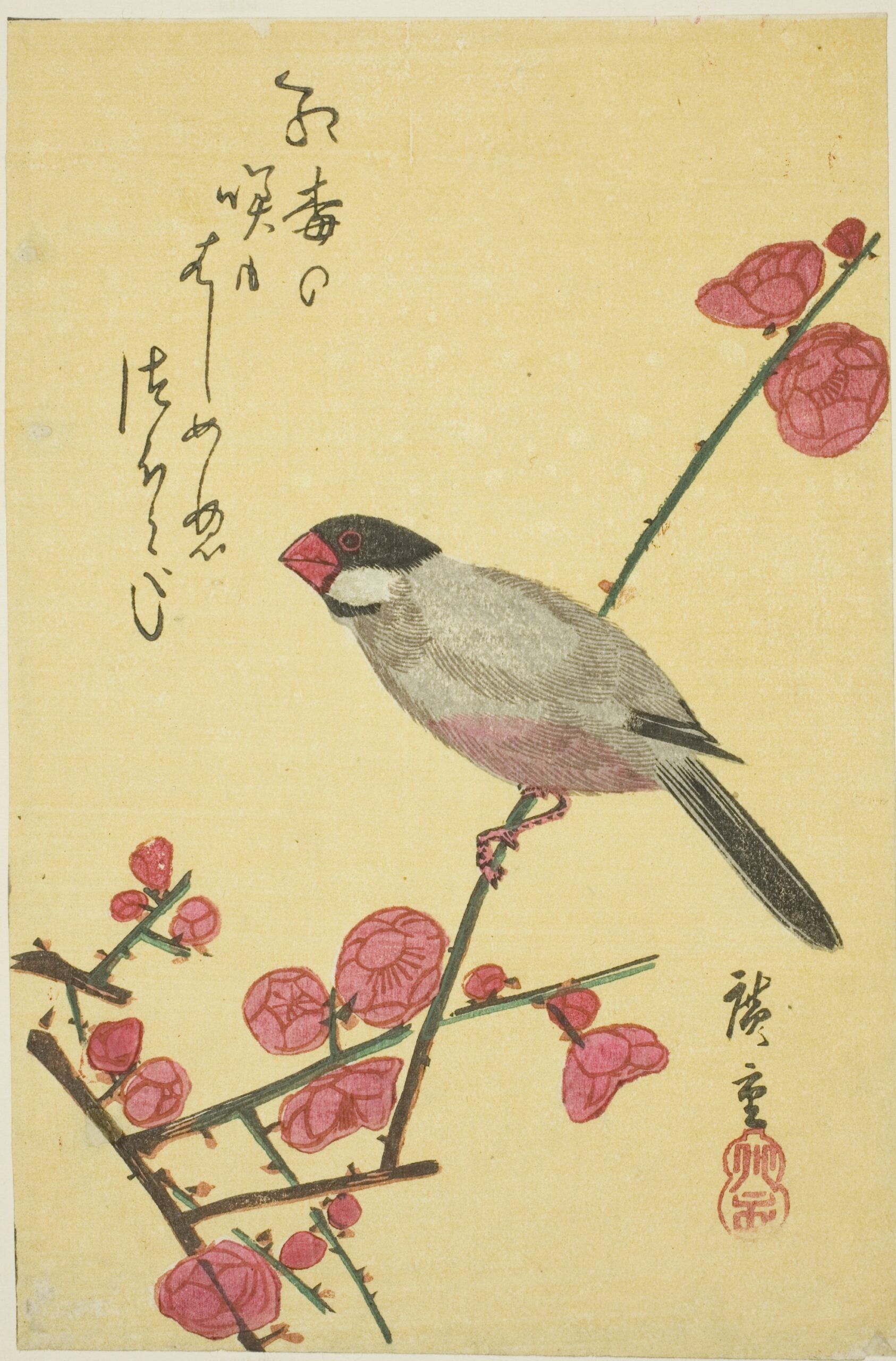 Hiroshiges - Java Sparrow on Plum Branch - Yotsugiri Format