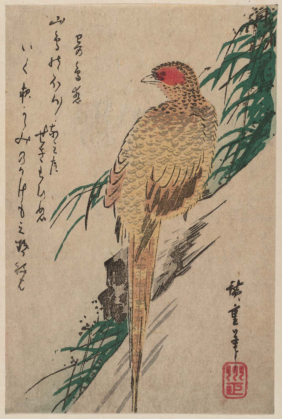 Hiroshiges - Pheasant - Yotsugiri Format