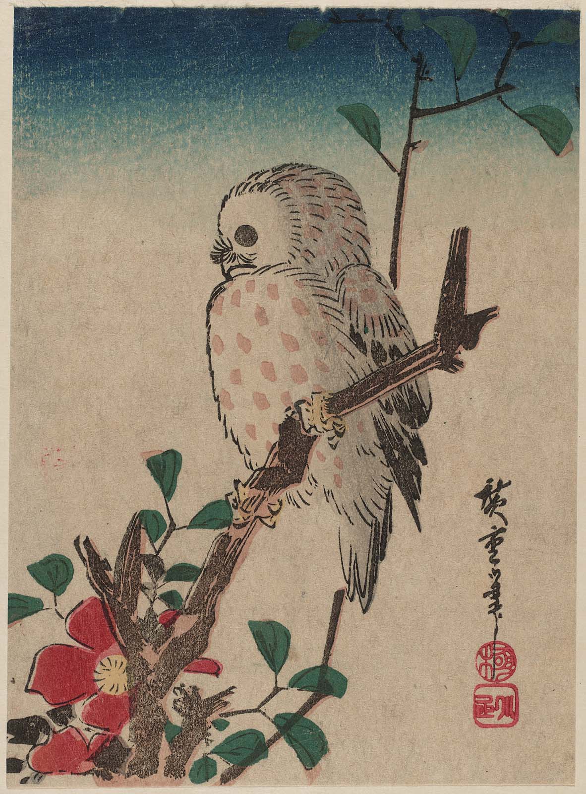 Hiroshiges - Small Owl on Camellia Branch - Yotsugiri Format