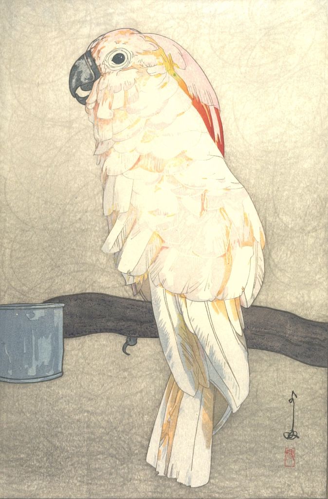 Hiroshi Yoshida - Salmon-Crested Cockatoo (ôbatan ômu), from the series At the Zoological Garden (Dobutsuen), Taishô period, dated 1926