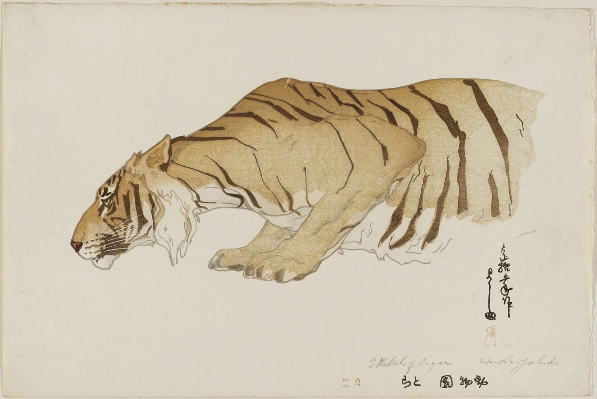 Hiroshi Yoshida - Sketch of Tiger (Tora), from the series Zoo (Dôbutsuen)