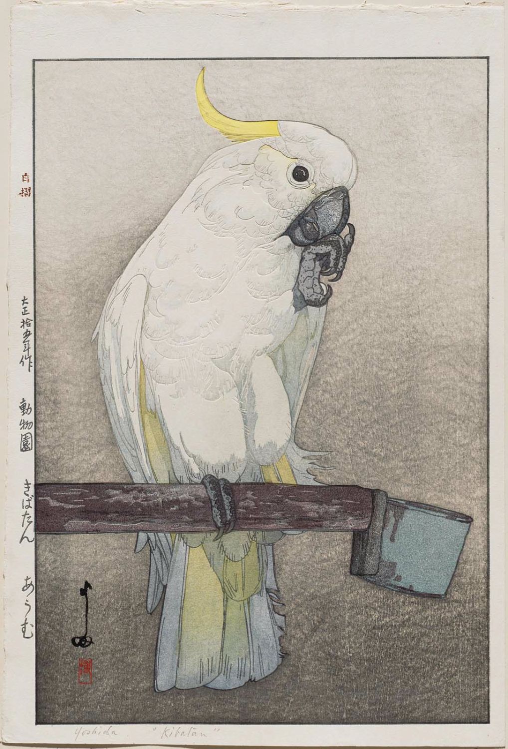 Hiroshi Yoshida - Kibatan Parrot (Kibatan ômu), from the series Zoo (Dôbutsuen)