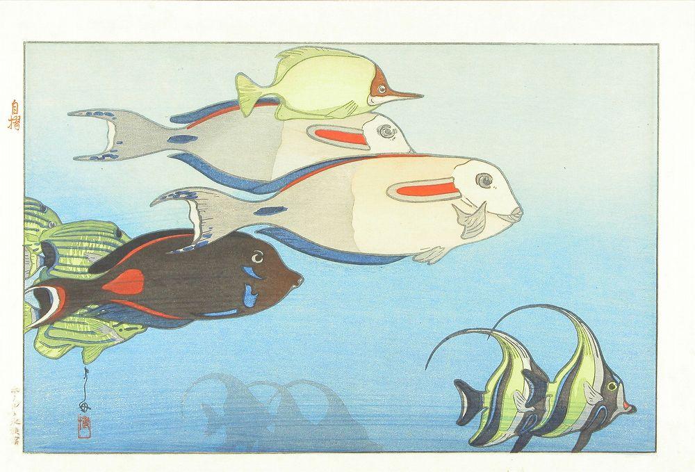 Hiroshi Yoshida - Tropical Fish